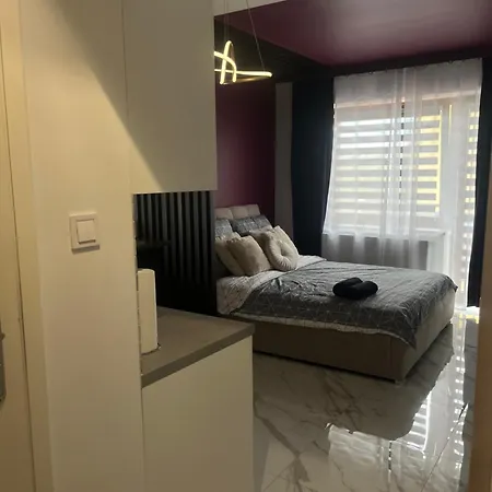 Led W Poblizu Zakopanego ! 公寓 新塔尔格